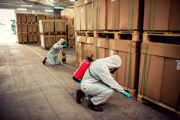 Best Affordable Pest Control Services  in Ladoga, IN