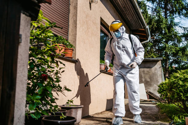Best Cockroach Control Services  in Ladoga, IN