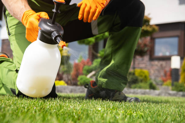 Best Pest Control Cost  in Ladoga, IN