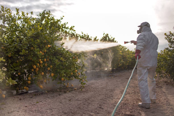 Best Pest Control Near Me  in Ladoga, IN