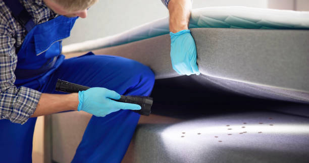 Best Affordable Pest Control Services  in Ladoga, IN