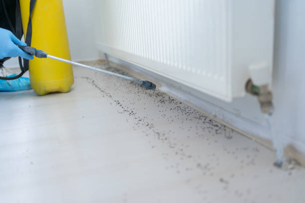 Best Wildlife Control Services  in Ladoga, IN