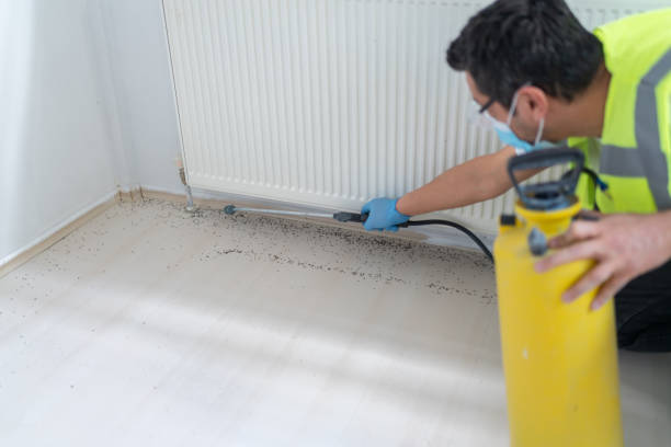 Best Exterminator Services  in Ladoga, IN